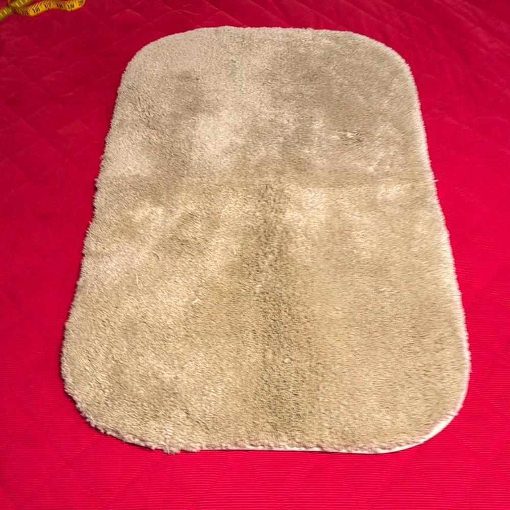 Plush Bath Rug with Rubber Backing